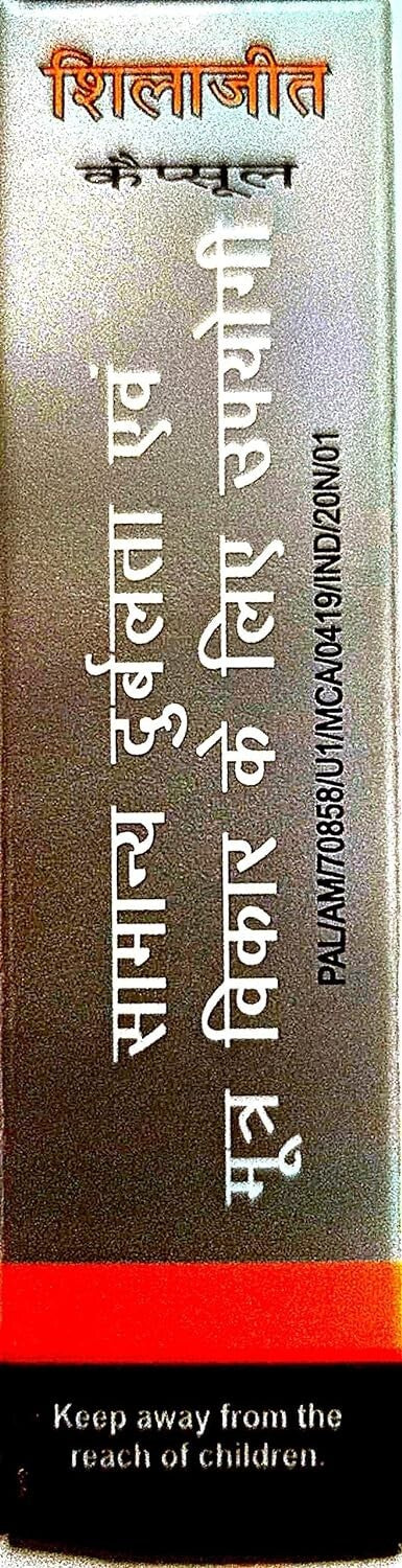 PATANJALI SHILAJEET Capsule (Pack of 2)  Free Shipping